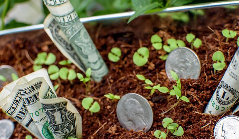 Lees meer over het artikel Hoe je je saldo vergroot in het casino