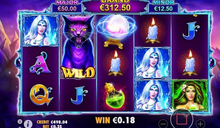 Lees meer over het artikel Wild symbolen op online videoslots